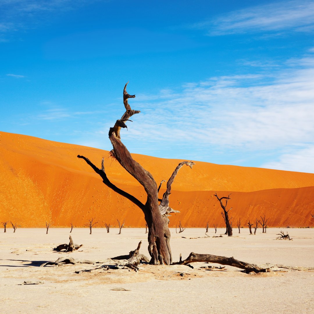 Zimbabwe dry landscape Matabeleland road trip